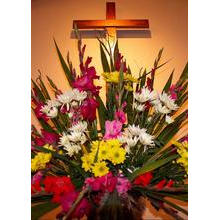Harvest Flowers